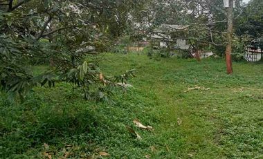 Kavling strategis di jalan raya Sukorejo