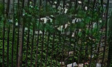 Dijual dan Disewa Tanah Luas 600 M Cirendeu Ciputat