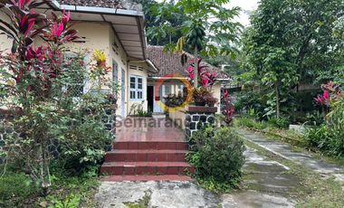 Rumah bangunan lama di jalan Osamaliki