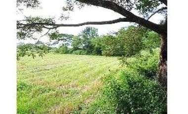 VACANT LOT FOR SALE IN CAVITE!