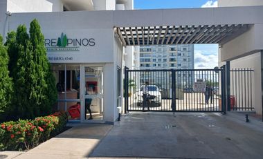 APARTAMENTO 1003 EN RENTA ENTREPINOS TORRE 5