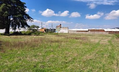 Terreno Sobre Avenida Principal Comercial, En San Bartolo Morelos.