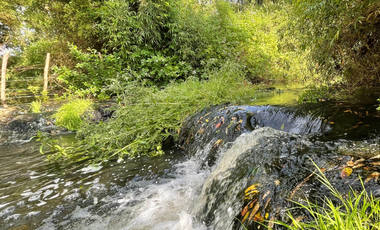 Río Moro