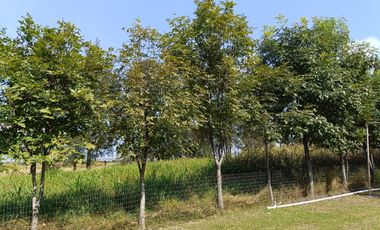 RANCHO-TERRENO EN VENTA, 