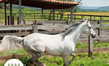 Casa Fraccionamiento Los Reflejos, Tapalpa, Jal.