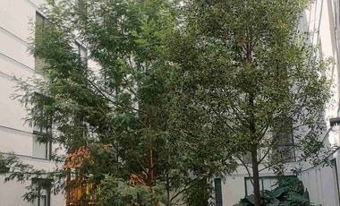 Departamento nuevo venta calle Ocelotl san Pablo tepetlapa