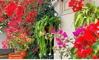 Hotel en San Isidro, excelente oportunidad para inversionistas, obtén un ingreso fijo 🔑🏘️🤝