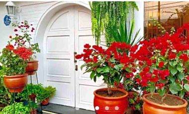 Hotel en San Isidro, excelente oportunidad para inversionistas, obtén un ingreso fijo 🔑🏘️🤝