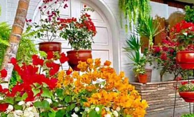 Hotel en San Isidro, excelente oportunidad para inversionistas, obtén un ingreso fijo 🔑🏘️🤝