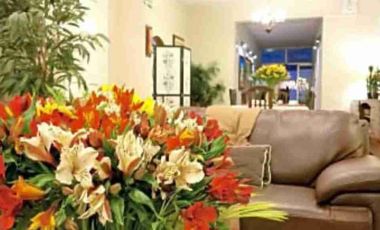 Hotel en San Isidro, excelente oportunidad para inversionistas, obtén un ingreso fijo 🔑🏘️🤝