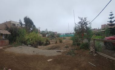 VENDO DOS LOTES DE 4500m2 en Urbanización Zapallal Puente Piedra. ( Si los lleva los dos tiene doble frente )