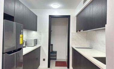 1bedroom samal view unit in Aeon Towers Davao for sale