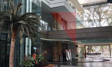 local en renta en lomas verdes