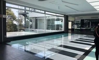 local en renta en lomas verdes