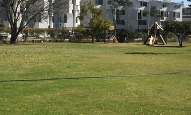 Casa en Renta $18,500.00 Fracc. San Isidro Residencial coto Cartuja