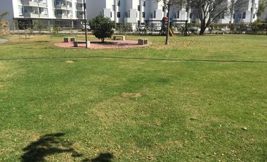 Casa en Renta $18,500.00 Fracc. San Isidro Residencial coto Cartuja