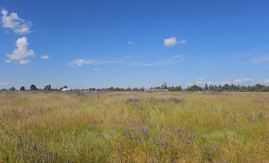 Terrenos en venta en Retiro, ruta L-510, VII región Maule