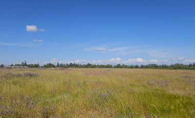 Terrenos en venta en Retiro, ruta L-510, VII región Maule