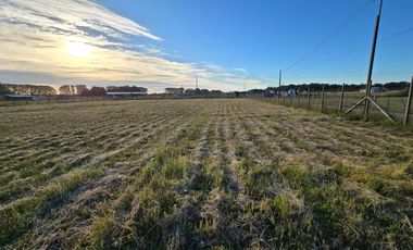 Parcela con Casa Amoblada en Venta – Freire