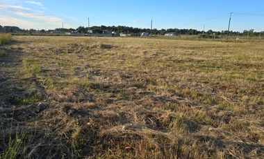 Parcela con Casa Amoblada en Venta – Freire