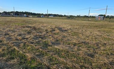 Parcela con Casa Amoblada en Venta – Freire