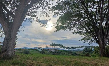 Venta Lote Campestre Vía Alcalá-Cartago