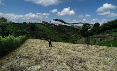 Venta Lote Campestre Vía Alcalá-Cartago