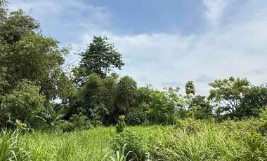 Dijual Tanah Murah – Lokasi Strategis Gunung Payung, Kutuh