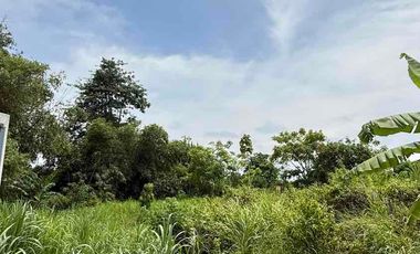 Dijual Tanah Murah – Lokasi Strategis Gunung Payung, Kutuh