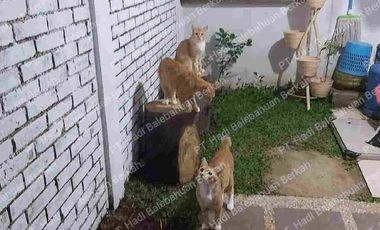 Rumah SIAP HUNI dibawah 1 M, Semifurnish di Pesona Ciwastra Buahbatu kota Bandung.