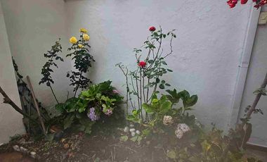 RENTO O ARRIENDO DEPARTAMENTO AMOBLADO EN AV. 27 DE FEBRERO- CUERPO DE BOMBEROS