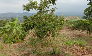 Tanah di dekat Kawasan Wisata Guci