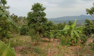 Tanah di dekat Kawasan Wisata Guci