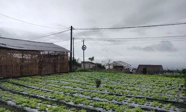 Tanah lokasi terbaik di kawasan lembang pinggir jalan desa, udara sejuk pegunungan,recommend di bangun villa sangat cocok untuk tempat tinggal.