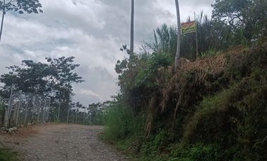 Venta Lote zona rural Calarcá Quindio