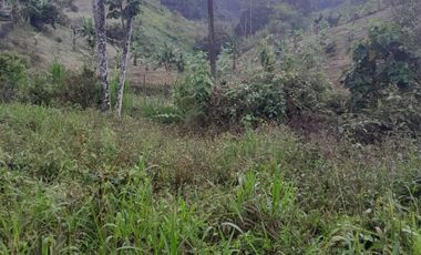 Venta Lote zona rural Calarcá Quindio