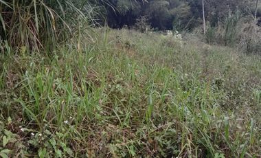 Venta Lote zona rural Calarcá Quindio