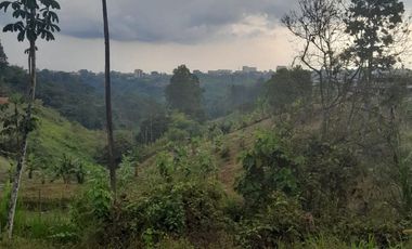 Venta Lote zona rural Calarcá Quindio