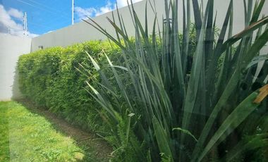 CASA EN RENTA MIRALTA HABITAT