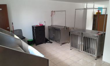 ALQUILER DE LOCAL