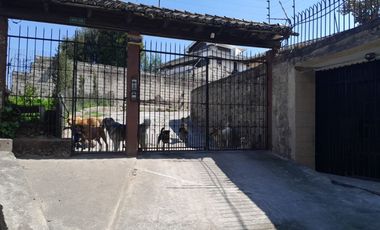 ALQUILER DE LOCAL