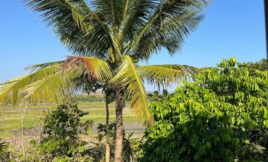 TRS Foundation (Holland House)