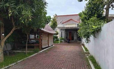 Rumah Murah Cantik Hal Luas Sejuk Asri + Gazebo Wirobrajan Kota Jogja