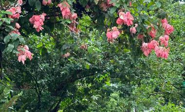 Beautiful resort / farm home in Tagaytay Midlands