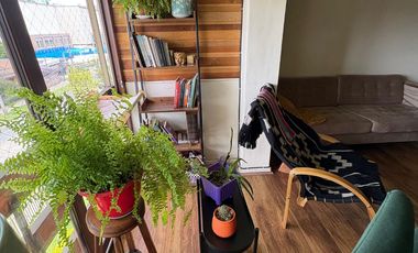 Se arrienda departamento calle España, ciudad Satélite.