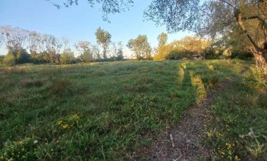 Se vende sitio - 1 hectárea - 5 minutos de Yerbas Buenas