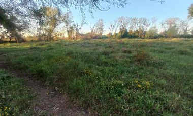 Se vende sitio - 1 hectárea - 5 minutos de Yerbas Buenas