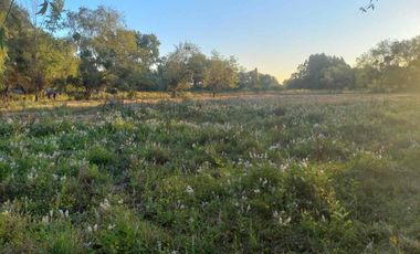 Se vende sitio - 1 hectárea - 5 minutos de Yerbas Buenas