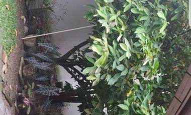 Dijual Rumah Siap Huni Dengan Kondisi Full Furnish Berlokasi Strategis Di Kota Palembang