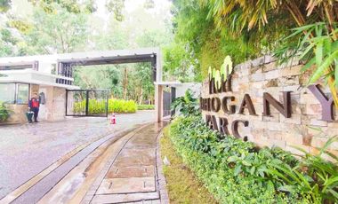 Mahogany Parc • Serene • Bliss